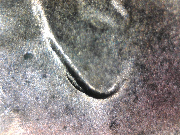 CRH-2016-D-Minor-DDO-Ear.